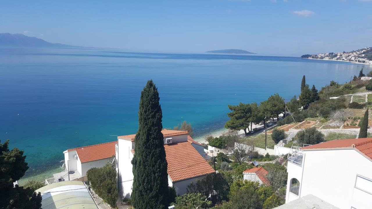 Bellissima Brist